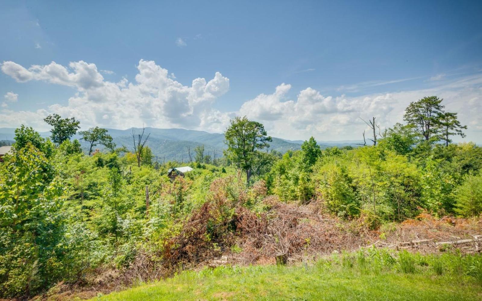 Villa Lifes A Bear Gatlinburg Exterior foto